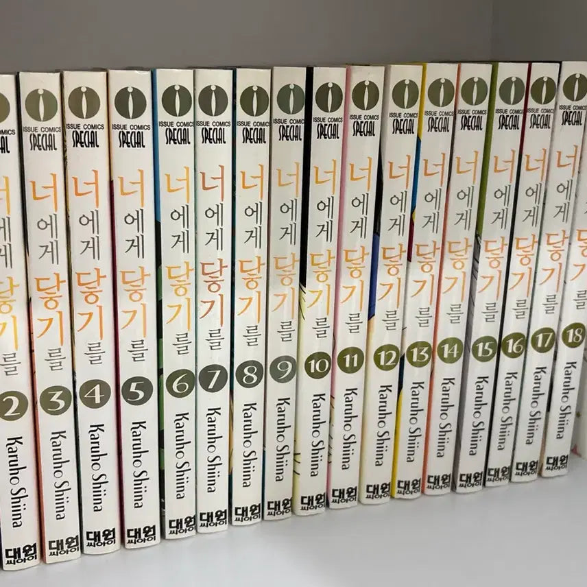 [BUNJANG] From Me to You Manga Volumes 1-20 + Fanbook Set / 너에게 닿기를 1-20권 + 팬북 만화책 세트
