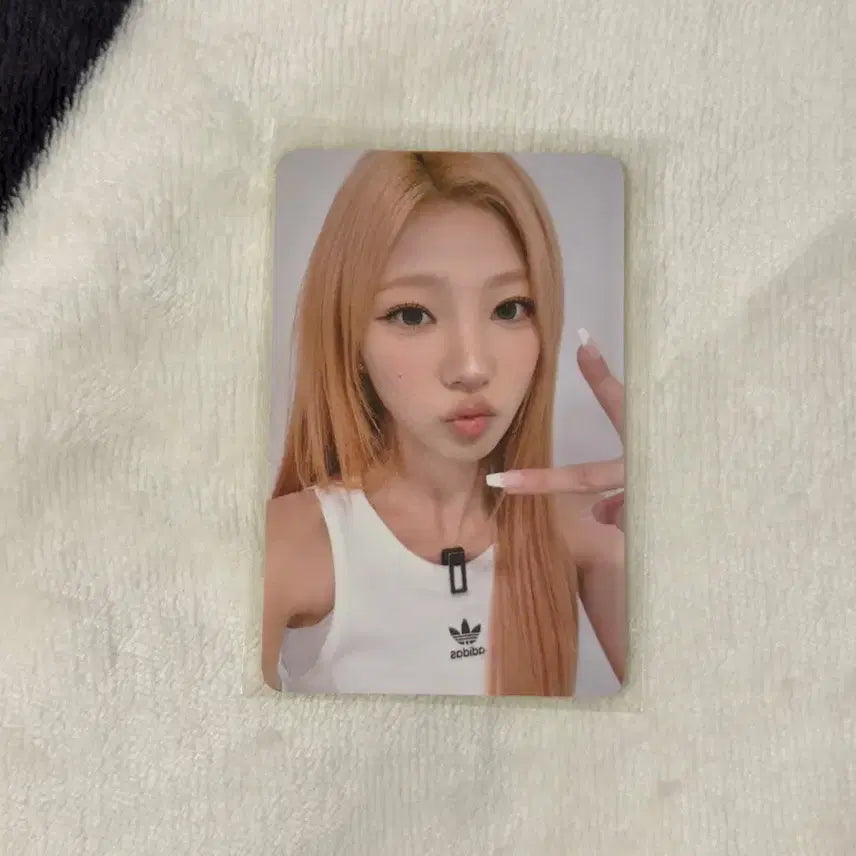 [BUNJANG] Hats to Hearts Stella Everline Lucky Draw Photocard / 하투하 레몬탱 포카 미공포 하츠투하츠 스텔라 에버라인 럭드 미공포