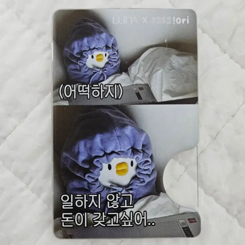 [BUNJANG] Bebe the Duck MagSafe Card Wallet / 베베더오리 멕세이프 카드지갑