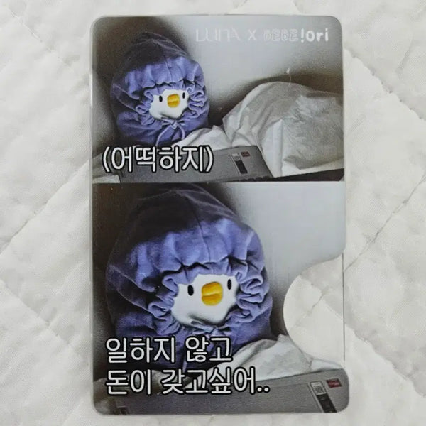 [BUNJANG] Bebe the Duck MagSafe Card Wallet / 베베더오리 멕세이프 카드지갑