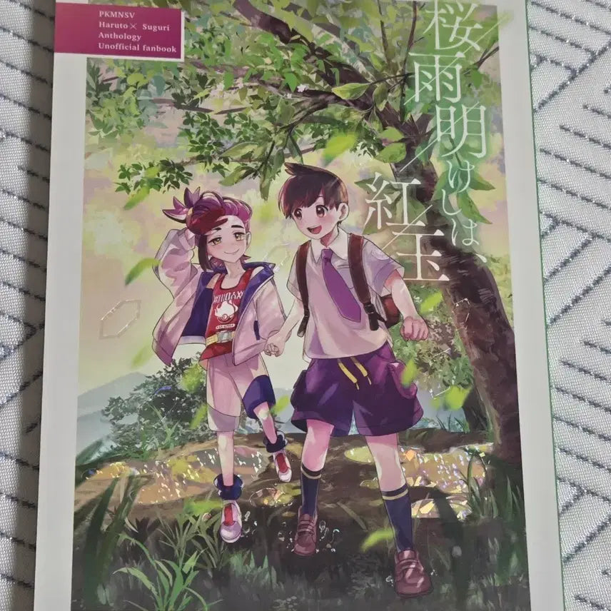 [BUNJANG] Pokemon Doujinshi - Boromin Kaji Anthology / 포켓몬스터 동인지 회지 보민 카지 판매합니다