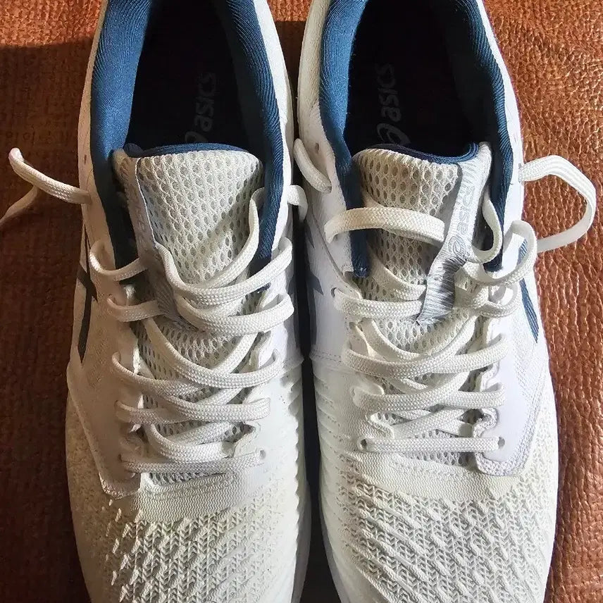 [BUNJANG] Asics Netburner Ballistic FF 3 Men's Volleyball Shoes 295mm / 아식스 넷버너 발라스틱 295mm 팔아요