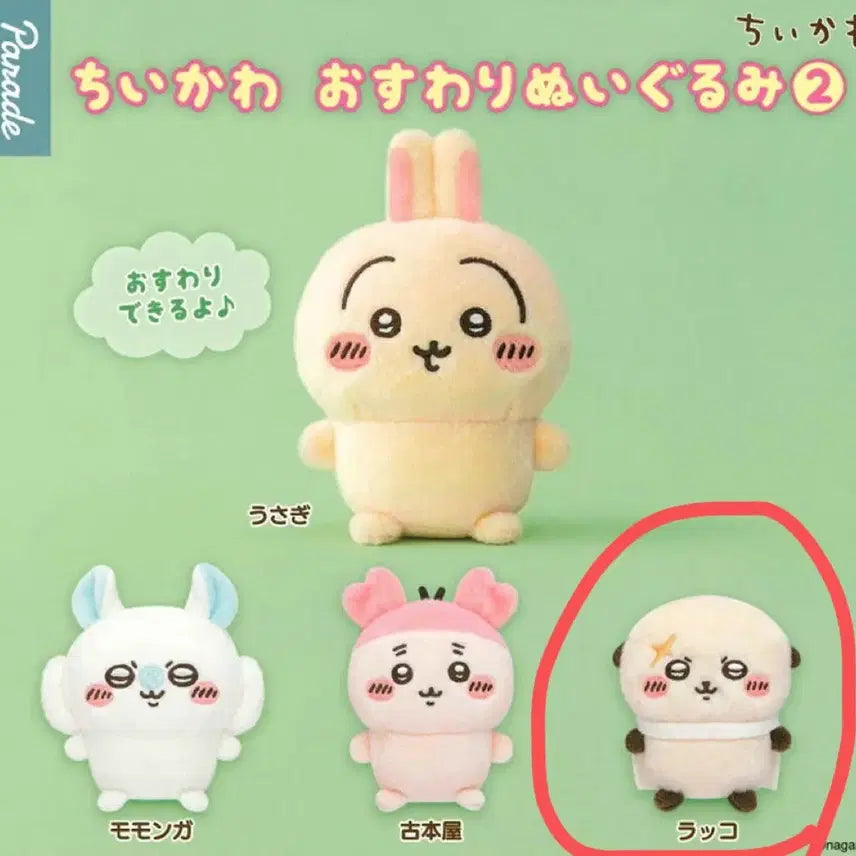 [BUNJANG] Chiikawa Sitting Plush Gacha Racco / 치이카와 앉은 누이 가챠 오스와리 랏코