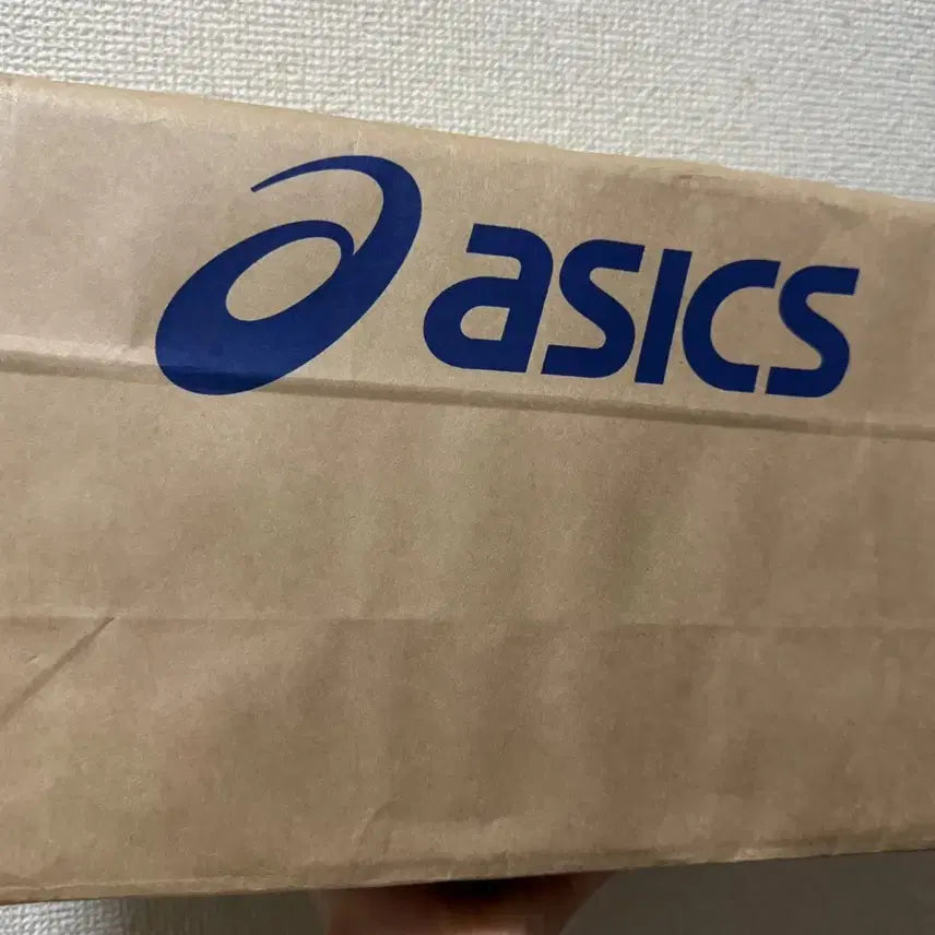 [BUNJANG] Asics Metaspeed Sky Paris Edition Running Shoes / 메타스피드 레이 신색상 사이즈 주문받습니다