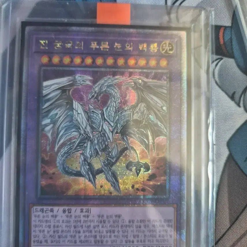 [BUNJANG] Yu-Gi-Oh! True Ultimate Blue-Eyes White Dragon Quarter Century Secret Rare / 유희왕 진 궁극의 푸른눈의 백룡 쿼싴