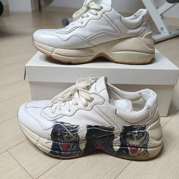 [BUNJANG] Gucci Tiger Print Rhyton Sneakers / (정품5)구찌 타이거 프린트 라이톤 스니커즈245~255