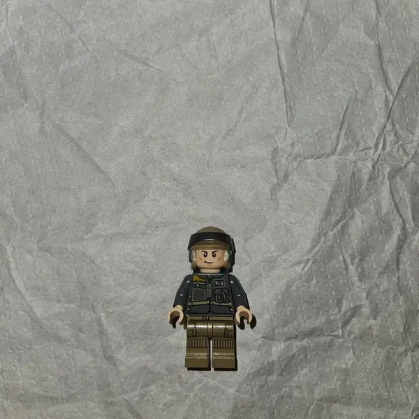 [BUNJANG] LEGO Star Wars SW0786 / 레고 스타워즈 sw0786