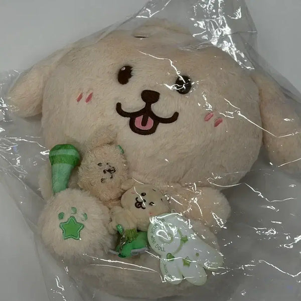 [BUNJANG] NCT WISH Jaehee 30cm Daengdiver Mini Doll Fandom Light Keyring Bundle Set / 엔시티위시 재희 댕트리버 30cm 미니돌 팬라이트 키링 일괄 양도