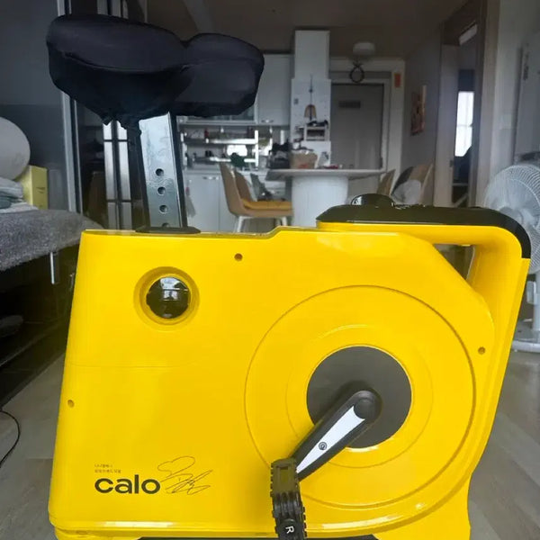 [BUNJANG] Caloibike Indoor Exercise Bike / 칼로이바이크 실내 자전거