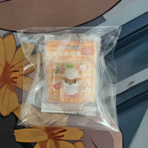 [BUNJANG] Sanrio Package Miniature Collection Gacha Kuriring / (정품)산리오 패키지 미니어처 컬렉션 가챠 쿠리링