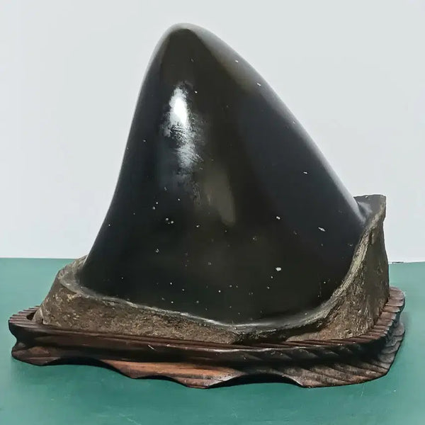 [BUNJANG] High-Quality "Su-seok" (Fossil Stone) / 수석(부화석/석중석)