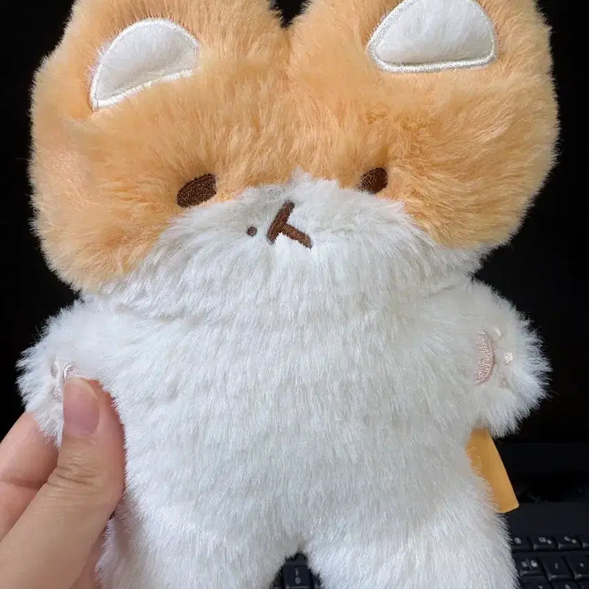[BUNJANG] Baekhyun 'You Have to Protect Me' Plush Magnet / 백현 터래기 인형 마그넷 네가 나를 지켜야 해
