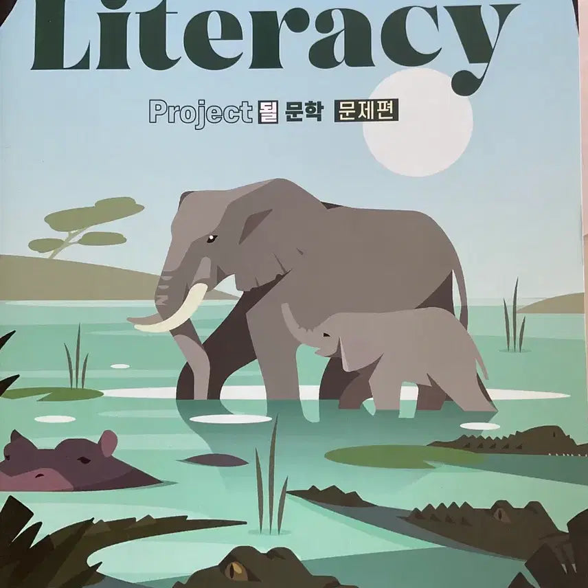 [BUNJANG] Korean Literature Past Exam Questions Book / 국어 기출문제