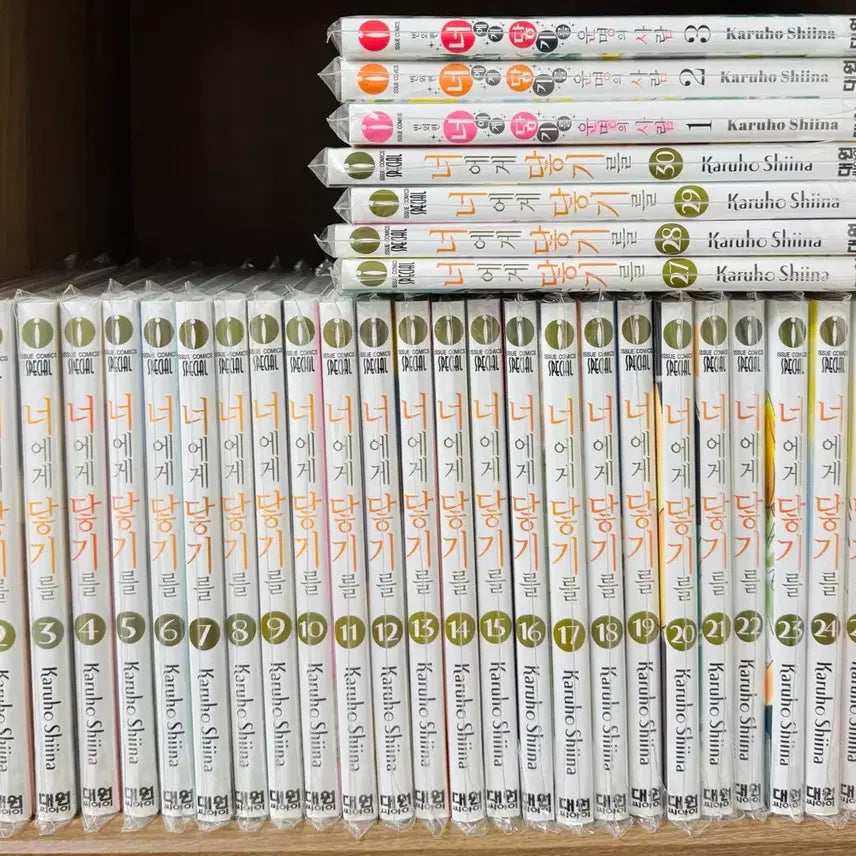 [BUNJANG] Reaching You Complete Manga Set Volumes 1-30 + Side Story Volumes 1-3 / 너에게 닿기를 1-30권 외전 1-3권 만화책
