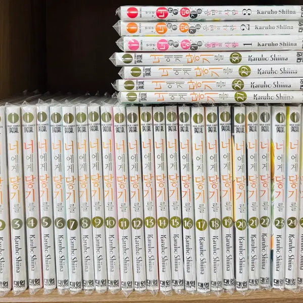 [BUNJANG] Reaching You Complete Manga Set Volumes 1-30 + Side Story Volumes 1-3 / 너에게 닿기를 1-30권 외전 1-3권 만화책