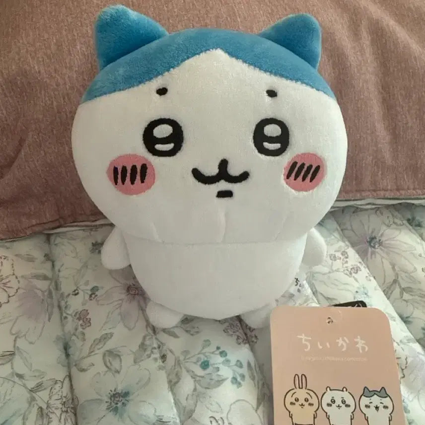[BUNJANG] Chiikawa Potetama Plush / 치이카와 포테타마 누이