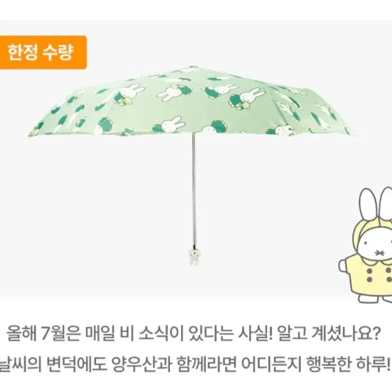 [BUNJANG] Osulloc Limited Edition Miffy Handle Umbrella (Sealed) / (미개봉)한정판 오설록 미피 양우산