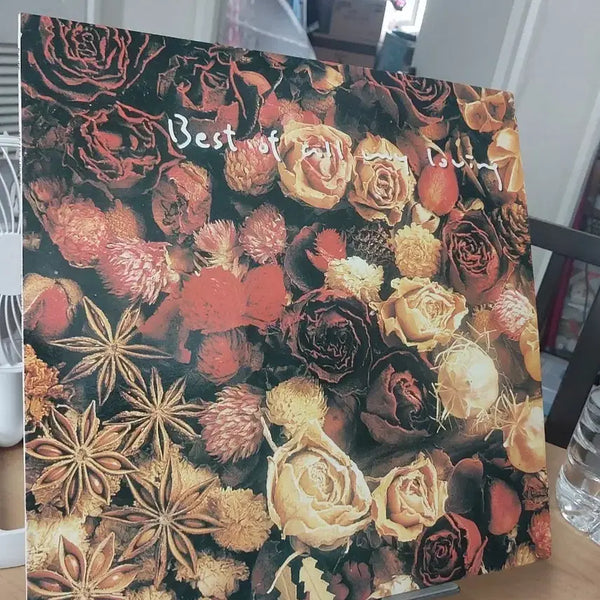[BUNJANG] Various Artists Best of All My Loving LP / best of all my loving lp