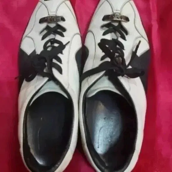 [BUNJANG] Dior Sneakers White/Black 250mm / 디올 스니커즈 250mm