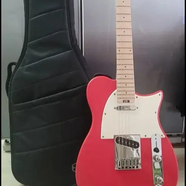 [BUNJANG] HEX T100 Telecaster Electric Guitar / 택포 19) HEX T100 텔레캐스터 일렉기타