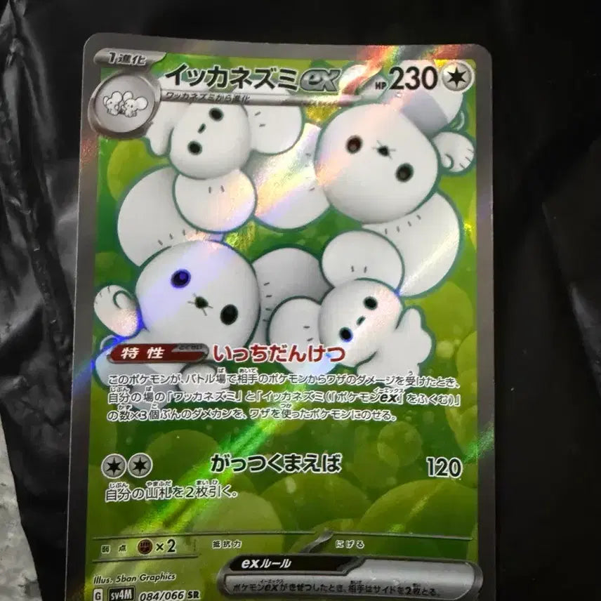 [BUNJANG] Pokemon Card Family of Four EX SR 084/066 / 포켓몬카드 파밀리쥐 일판 ex sr 084 066