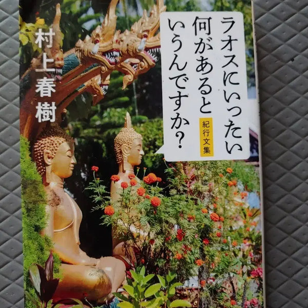 [BUNJANG] What's Actually in Laos? Mini Book / 일본원서 미니북 책 라오스에 대체 뭐가 있는데요?