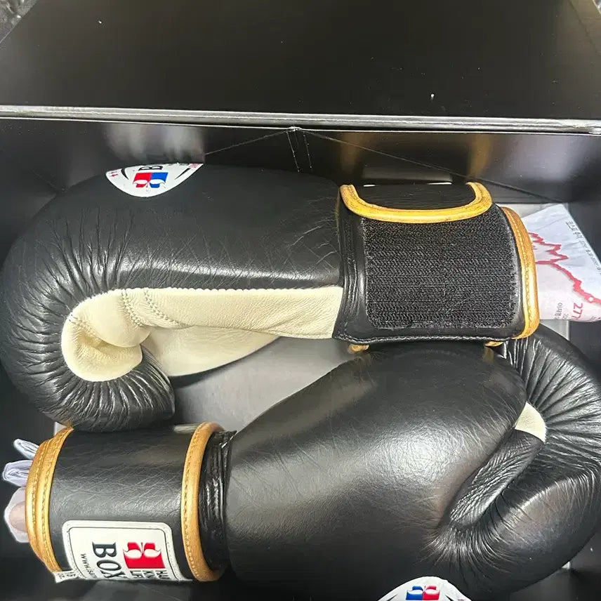 [BUNJANG] Isami Boxing Gloves 16oz Black / 이사미 복상 글러브 16온스 블랙