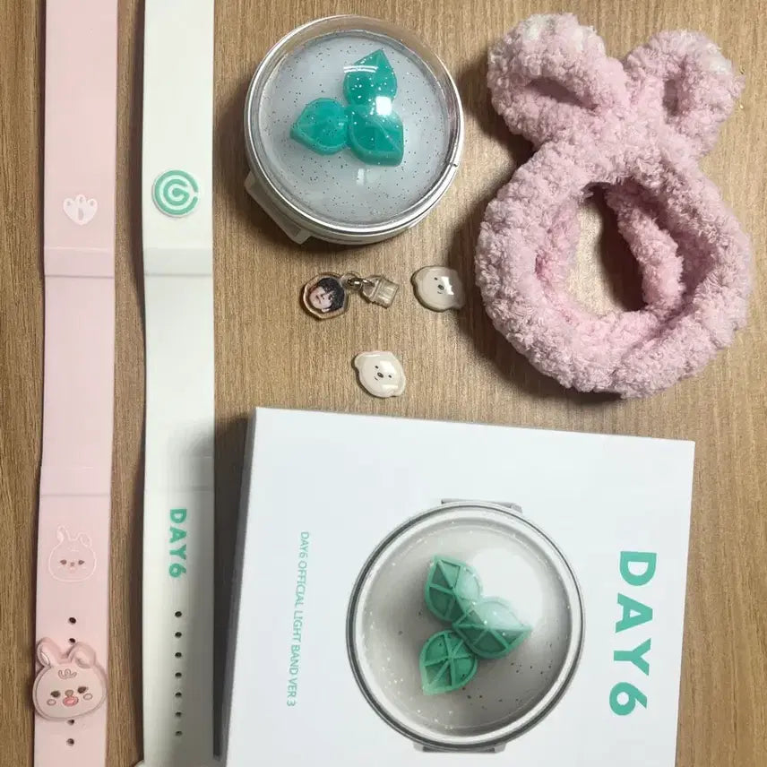 [BUNJANG] DAY6 Sungjin Made Watch Official Lightstick Strap / 데이식스 마데워치 응원봉 스트랩 원필