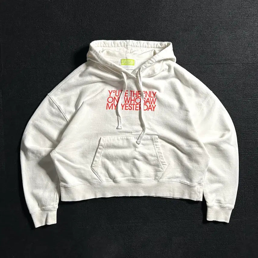 [BUNJANG] Beaker Yerin Baek 10th Anniversary Collaboration Hoodie / 비이커 백예린 10주년 콜라보 후드티