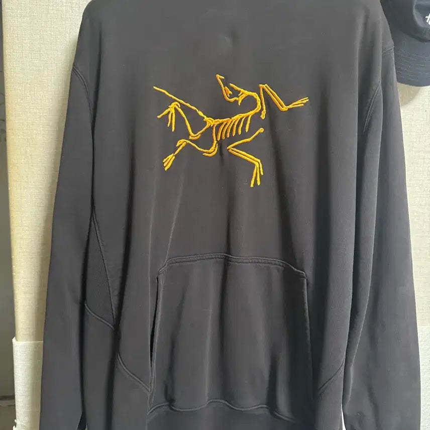 [BUNJANG] Palace x Arc'teryx Hoodie XL / 팔라스 아크테릭스 xl