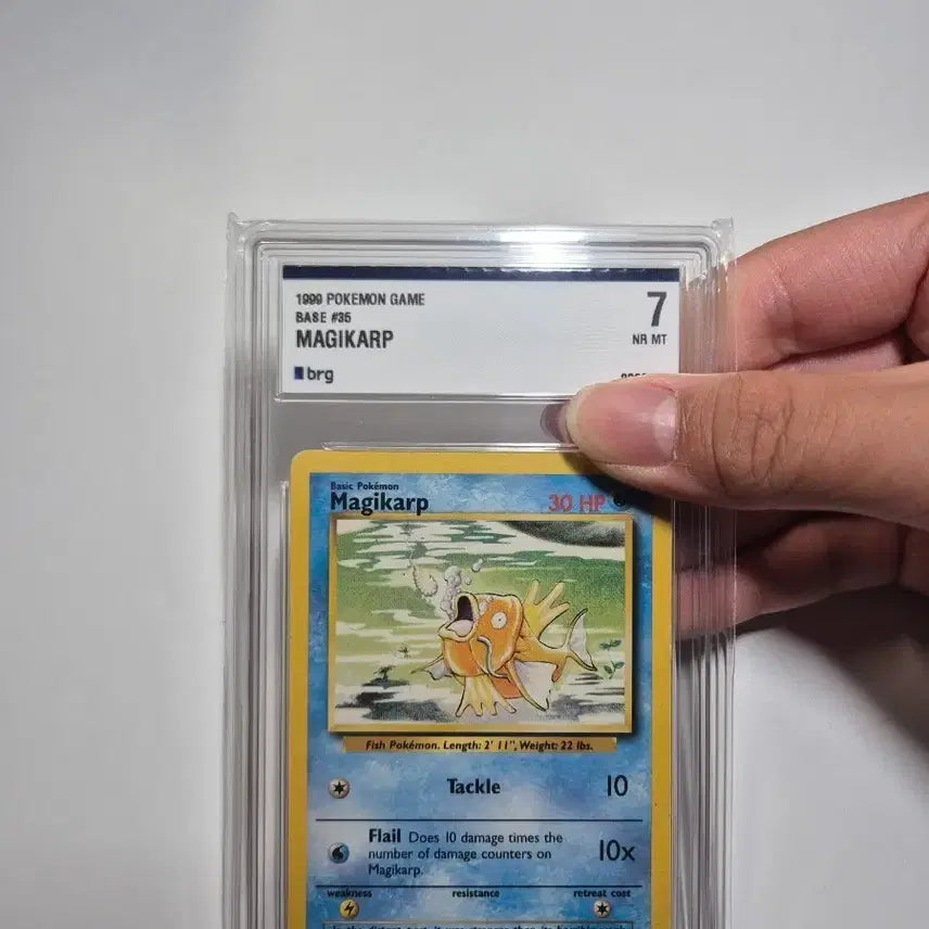 [BUNJANG] Gyarados Base Set 1st Edition English / 잉어킹 북미 초판 brg 7