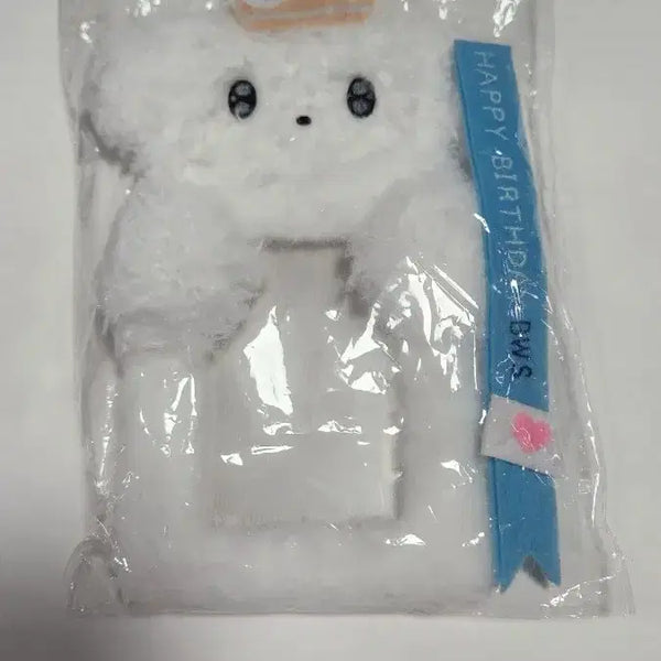 [BUNJANG] Byeon Woo-seok Photocard Holder (Postbox Doll Design) / 21세기대군부인 변우석 포토카드 홀더 댕통이 우체통인형