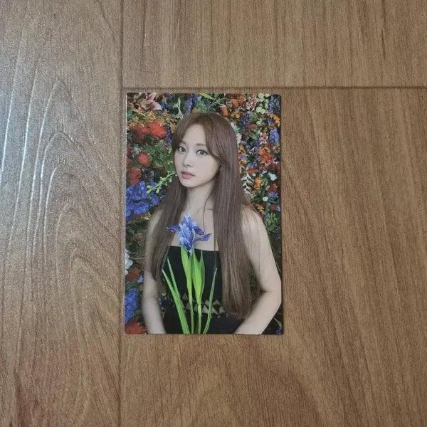 [BUNJANG] TWICE I CAN'T STOP ME Tzuyu Photocard / 트와이스 아캔스 I can't stop me 쯔위 포토카드 (포카)