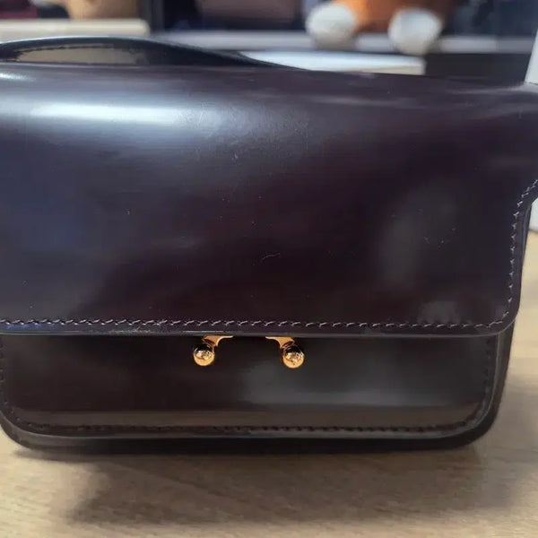[BUNJANG] Marni Style Trunk Bag / 마르니 스타일 트렁크백