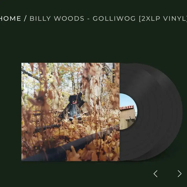 [BUNJANG] Billy Woods & Haram GOLLIWOG/Haram 2LP Vinyl Bundle / Billy Woods 빌리 우즈 GOLLIWOG, Haram 바이닐