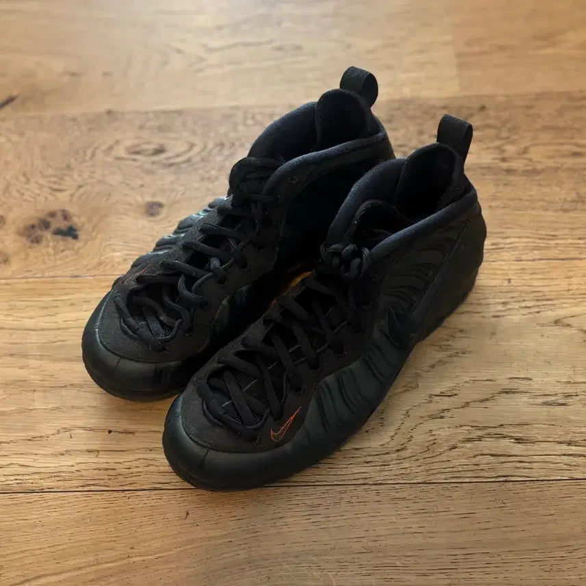 [BUNJANG] Nike Foamposite / 나이키 폼포짓