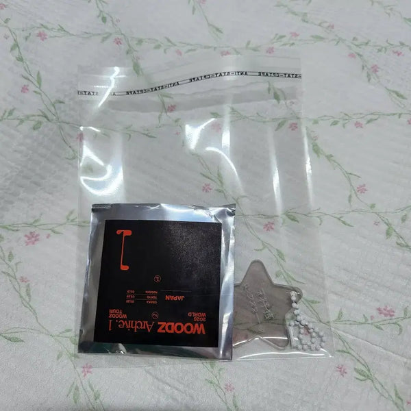 [BUNJANG] WOODZ Cho Seung Youn Japan Limited Random Keyring / 우즈 조승연 일본 한정 랜덤 키링 1