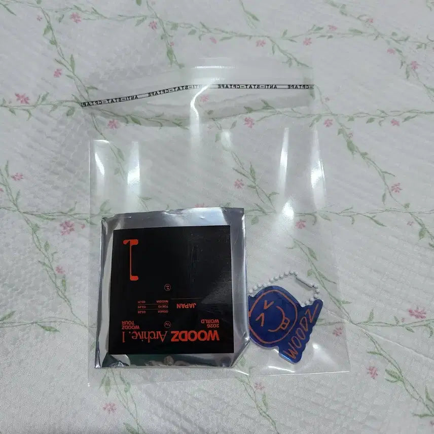 [BUNJANG] WOODZ Cho Seung Youn Japan Limited Edition Keychain / 우즈 조승연 일본 한정 랜덤 키링 3