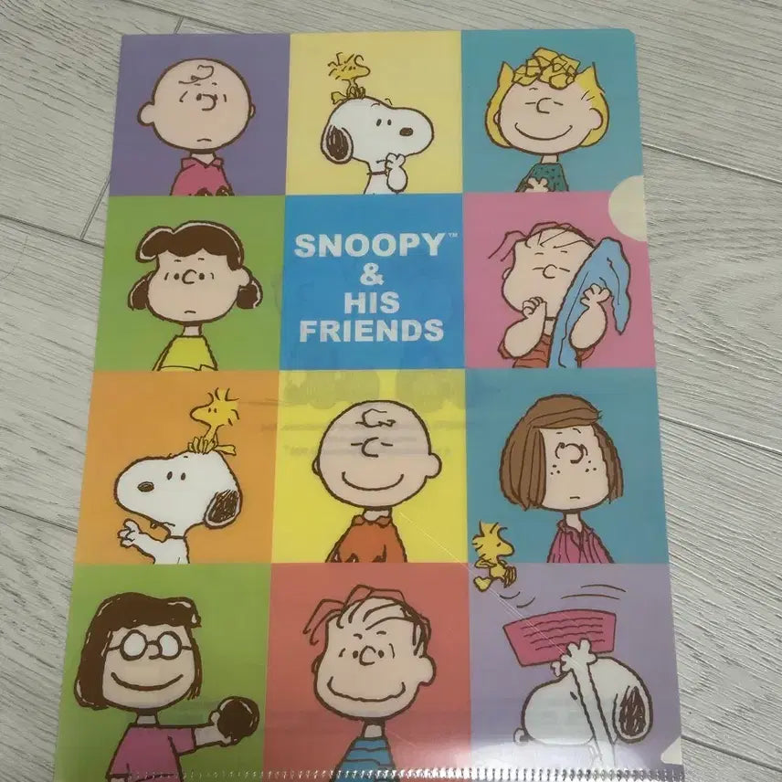 [BUNJANG] Snoopy 2008 Classic L-Folder / 2008년 고전 스누피 L자파일