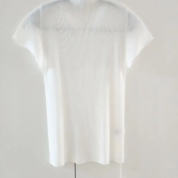 [BUNJANG] Pleats Please Mist Turtleneck Top / 플리츠플리즈 미스트 반목탑