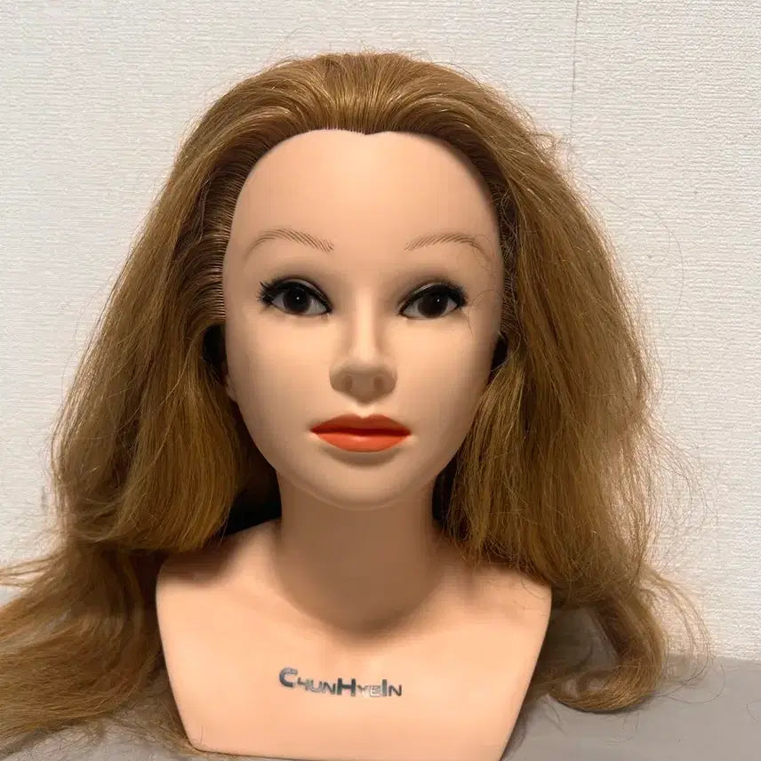 [BUNJANG] Cheon Hye In 100% Human Hair Updo Wig / 천혜인 업스타일 가발 인모 100%