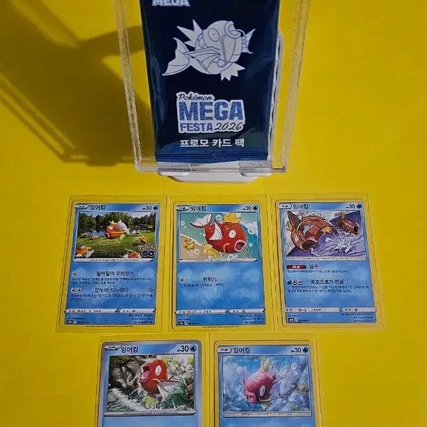 [BUNJANG] Pokemon Magikarp Promo Card & Magikarp Cards Bundle / 포켓몬 잉어킹 프로모 카드와 다른 잉어킹 카드들