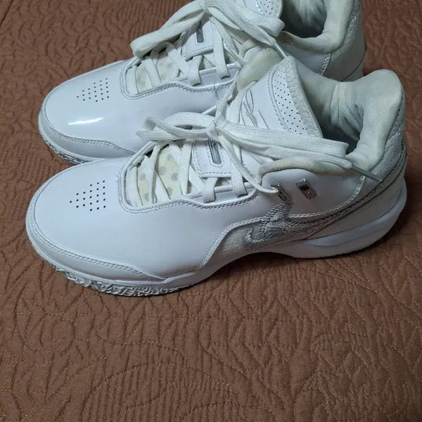 [BUNJANG] Nike LeBron NXXT Gen Basketball Shoes (255) / 255 나이키 르브론 NXXT 젠 농구화 운동화 [1319]