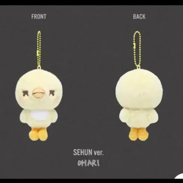 [BUNJANG] EXO Sehun Oari Doll / 엑소 세훈 오아리 양도합니다