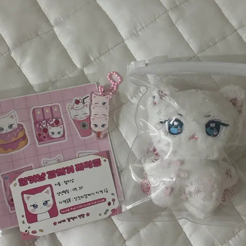 [BUNJANG] THE BOYZ Ricky Lucky Cat Plush Set / 앤더블 리키 인형 럽키냥 양도