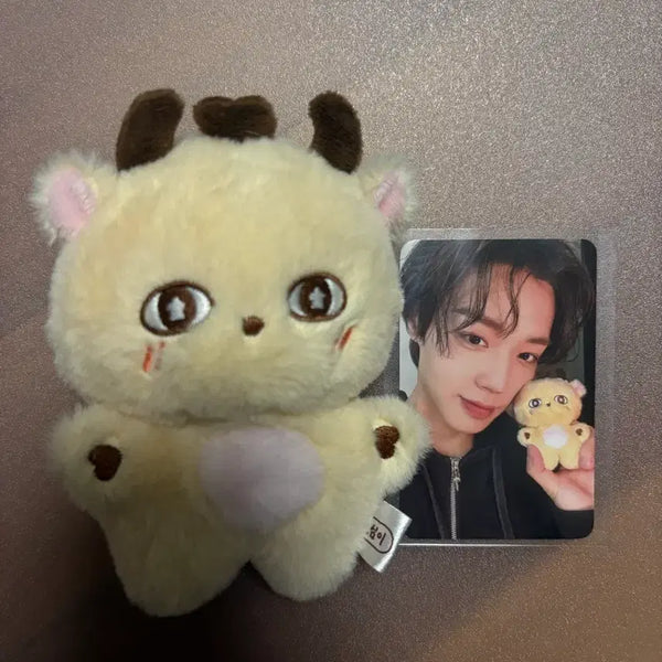 [BUNJANG] Park Ji Hoon SoSimi Doll Photocard / 박지훈 인형 소심이 양도 포카O