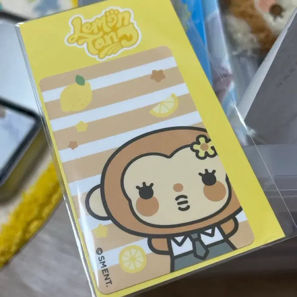 [BUNJANG] AINA Card Cover Sticker / 에이나 카드 커버 스티커