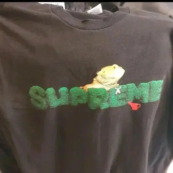 [BUNJANG] Supreme 20SS Lizard Graphic T-Shirt Black / 슈프림 도마뱀 20ss 반팔티 블랙