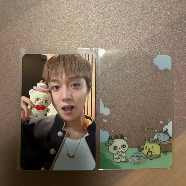 [BUNJANG] Park Jihoon Sosim Pop-up POB Photocard / 박지훈 소심 팝업 특전 포카 양도