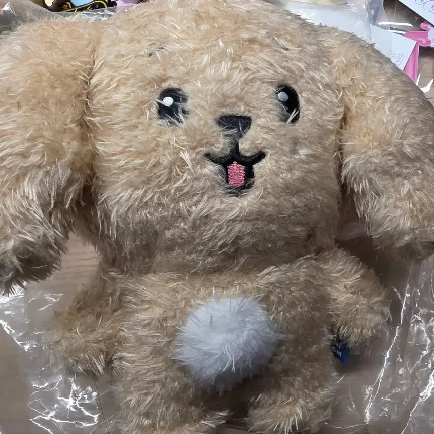 [BUNJANG] Doh-ah Mini Tin Doll / 도아 인형 공식 미니틴 팝업